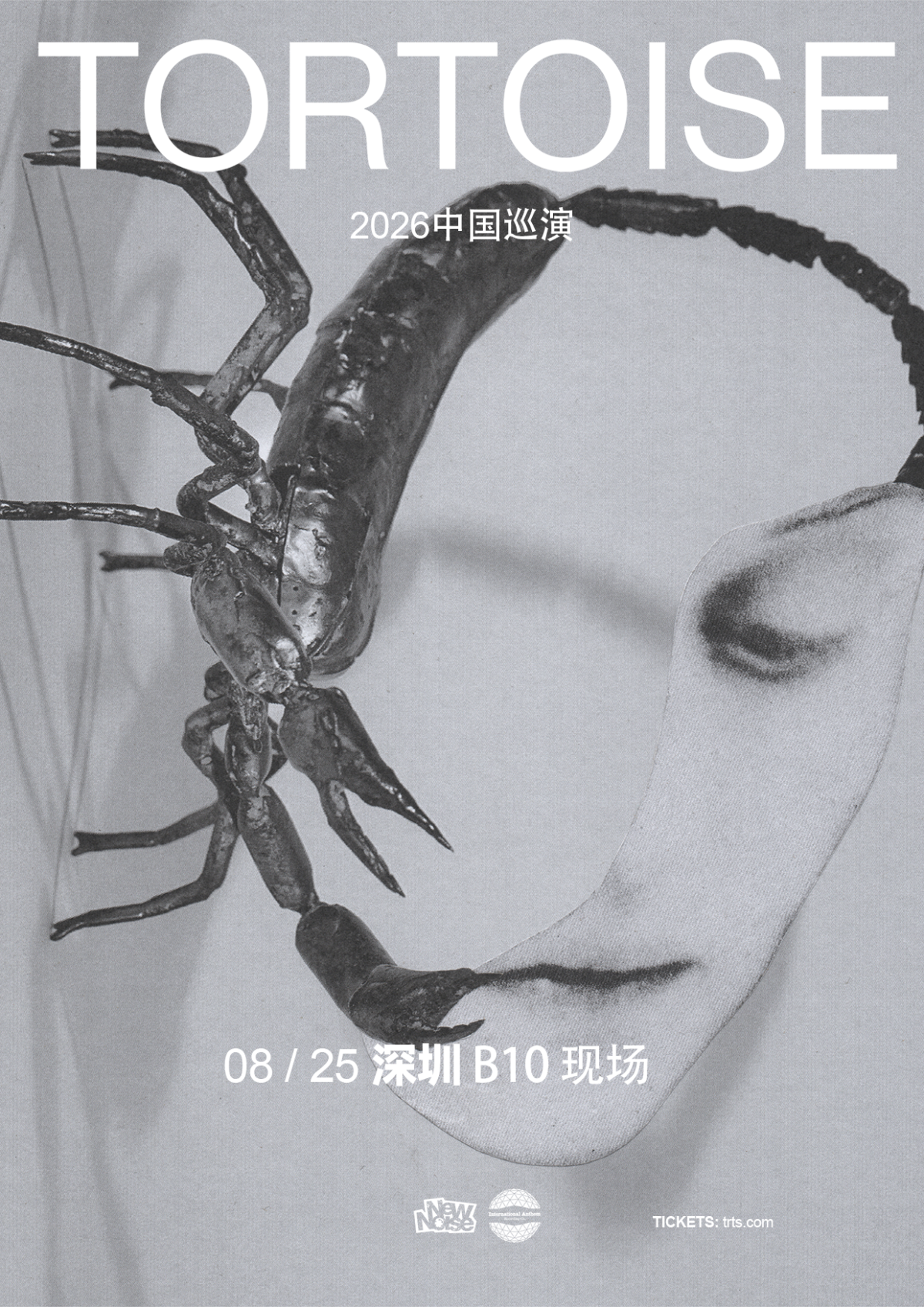 【深圳】New Noise 呈现 ｜Tortoise （乌龟） 深圳站