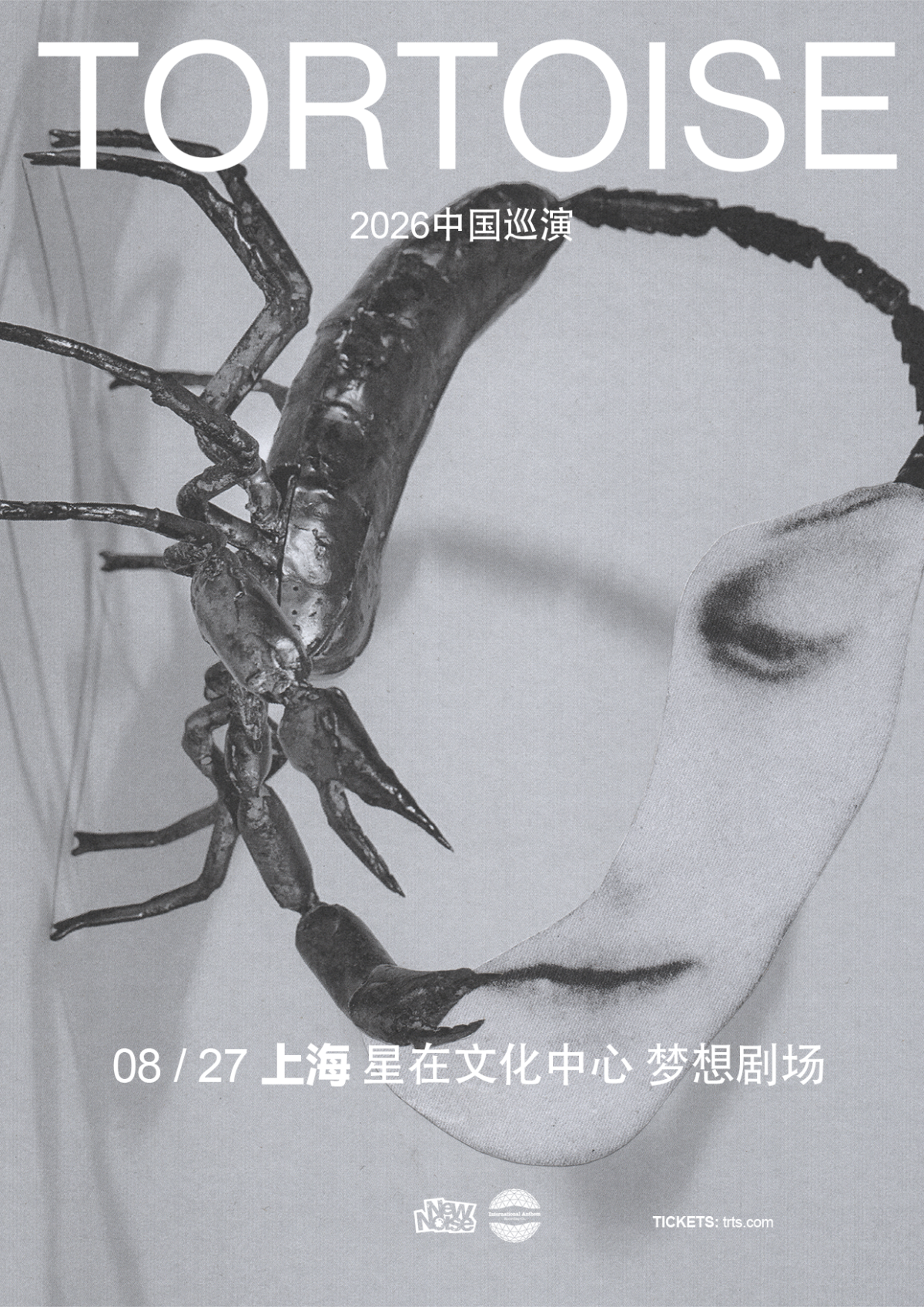 【上海】New Noise 呈现 ｜ Tortoise （乌龟） 上海站