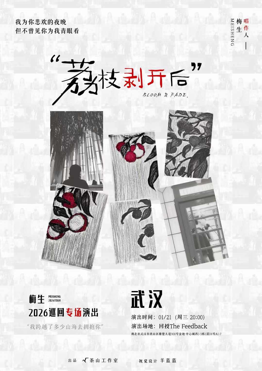 【武汉站】梅生「荔枝剥开后」2026巡回专场演出
