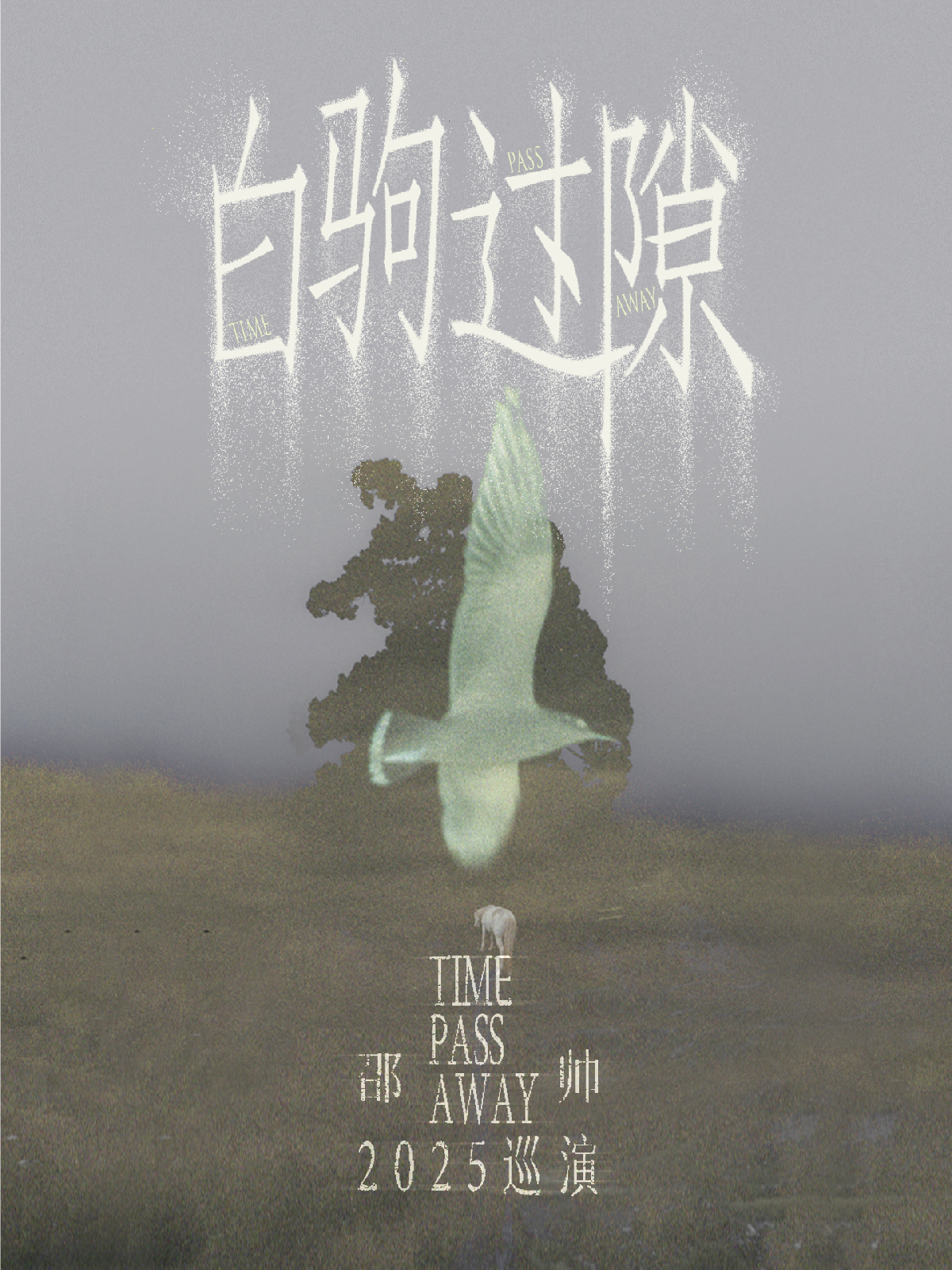 【长春站】邵帅「白驹过隙」2025巡演 长春站